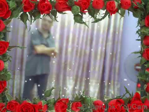 كليب سيبك من اللي خلع كان فقري مش وش دلع عصام صاصا الكروان محمود الليثي 2024