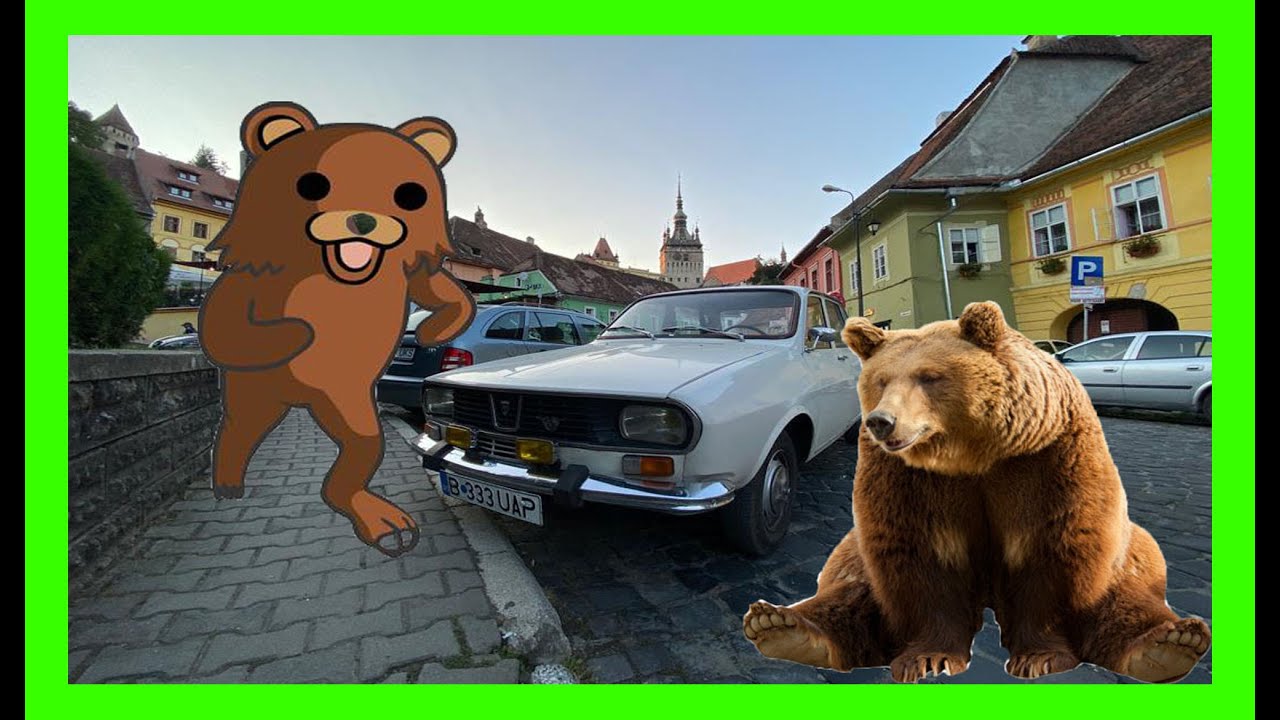 Dacia1300 VS urși pe Transfăgărășan