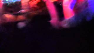 Family Force 5 & crowd dancing to Cray Button
