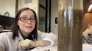 A day in the lab with Water Quality Analyst Meghan