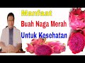 Vitamin Dalam Buah Naga