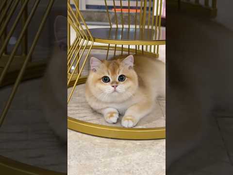 ถ้าไม่อยากให้ พ่อ-แม่ เสียใจ