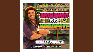 Reggae Da Baixada Do Maranho 2026  Melo De Morango Do Nordeste Reggae Limpo Remix Radiola