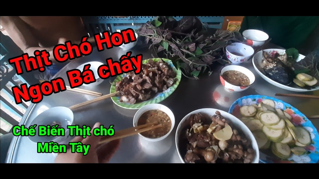 Chế Biến Thịt Chó Miền Tây, Hướng Dẫn Cách Làm món thịt chó Hon, Nướng ...