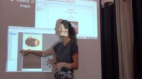 BITC / Data Capture - Imaging Insects - 2