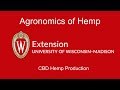 Agronomics of Hemp: CBD Production