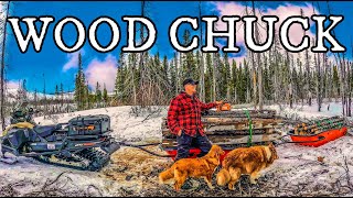 HAULING THE LARGEST LOAD OF WOOD IN MY LIFE WITH NEW SKANDIC - CAMPFIRE WITH FUNNY STORY by Chuck Porter - Everything Outdoors 10,466 views 3 weeks ago 14 minutes, 20 seconds