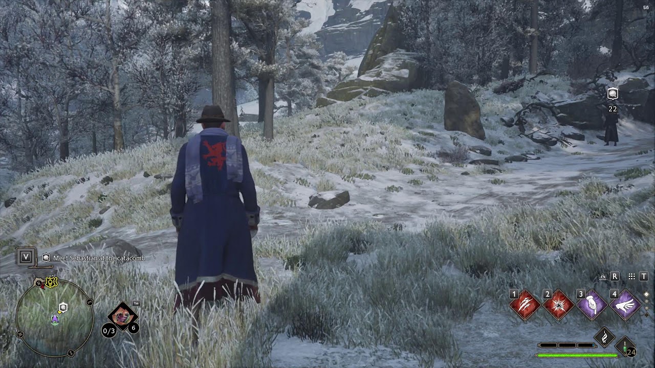 Hogwarts Legacy | PART 14 ( lost 4hr of gameplay 😭)