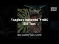 YoungBeat's instrumental TV vol.06  KEIJU "Tears"
