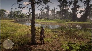 Red dead redemption 2 NIGHT SCENTED ORCHID Location