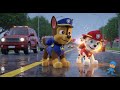 Paw Patrol Action Kids Adventure &amp; More Fun Storie
