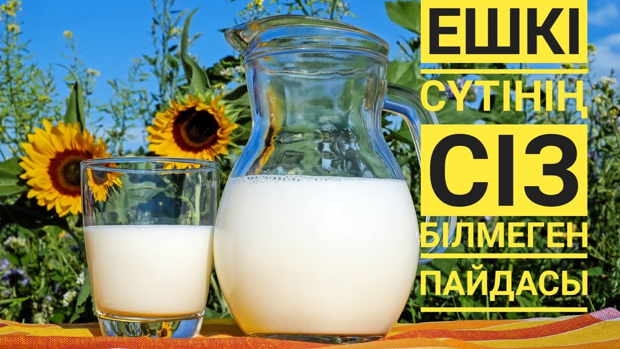 Автобустағы секс туралы порно видеолар, қыздарды қорлау Бір гейде екі мүше