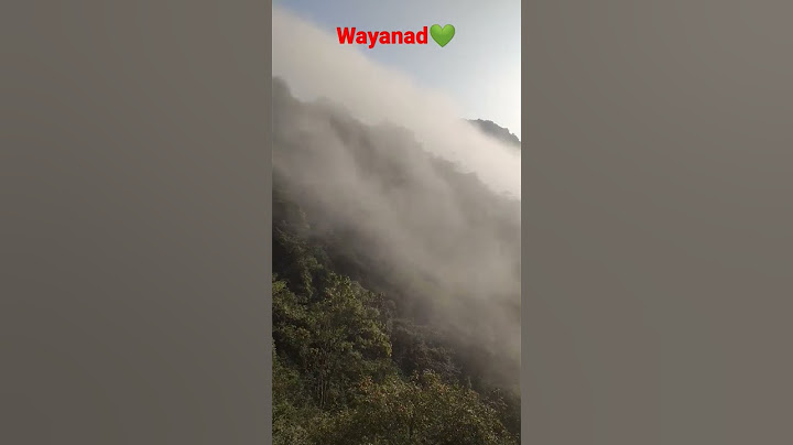 Wayanad churam💚Beautiful view in morning⛅️മഞ്ഞിൽ മൂടി വയനാടൻ ചുരം #shorts #wayanad #wayanadchuram
