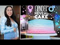 Making a Gender/Sex Reveal Cake & SURPRISING our family!