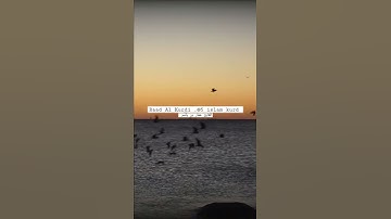Ammar bin yasir  القارئ عمار بن ياسر