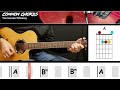 Tennessee Whiskey - Chris Stapleton | GUITAR LESSON | Common Chords