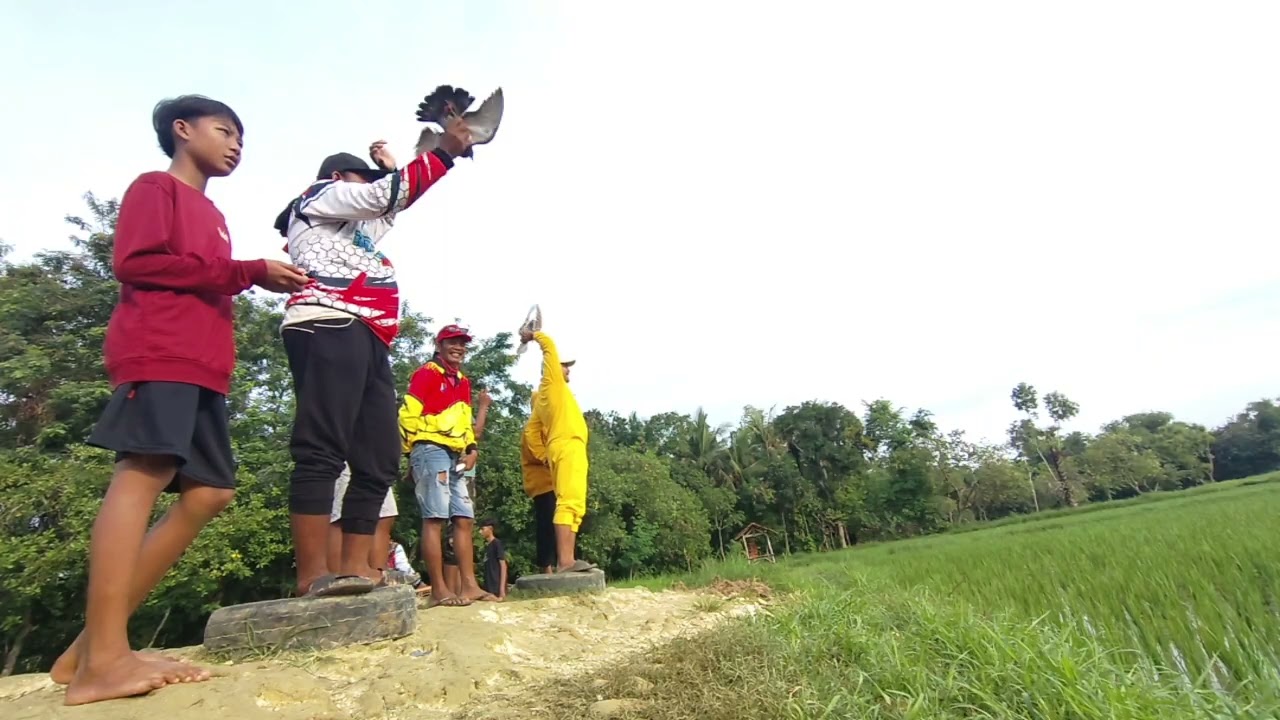 Glatama 500 M lap candicity jum'at 5-des-2025