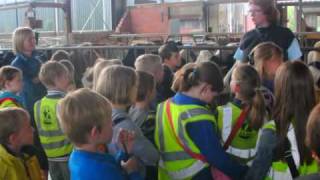 Uitstap 2 De Leerjaar