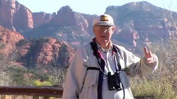 Christmas Bird Count