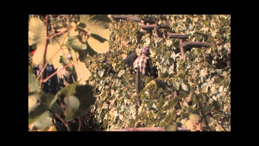 ხვამლის მთის საიდუმლოება- ფილმი I, ფილმი II