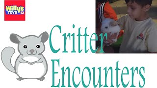 Critter Encounters Cute Animal Show - Chinchilla Fennec Fox Hedgehog Sugar Glider Pig and Ferret