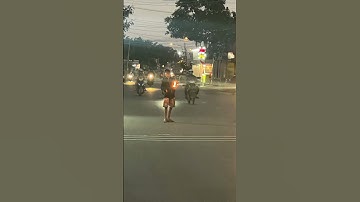 Sn86 | 🔥 Xiếc Đường Phố – Nghệ Thuật Mạo Hiểm Ở Việt Nam 🎭✨