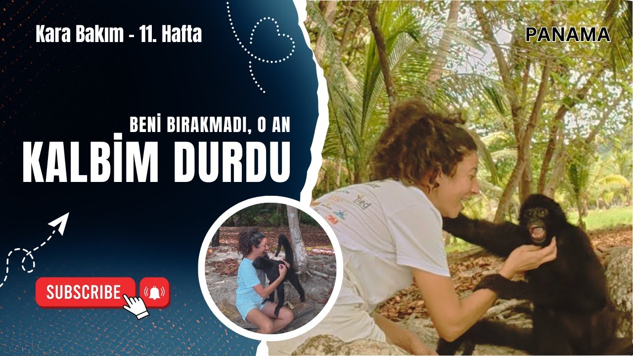 ⁣Karada 11. Hafta - Kalbim Durdu! Issız Adada Üzerime Atladı