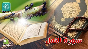 اعتزل العالم واستمع I سورة النمل I القارئ وليد عاطف I بدون فواصل إعلانية