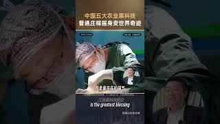 Beyond the Dinner Table: How Chinese Researchers Unlocked the Hidden, High-Tech Potential of Comm...