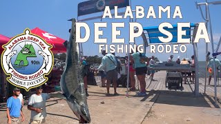 Walk Through the Legendary Alabama Deep Sea Fishing Rodeo - 90th Annual Event in Dauphin Island, AL by TGIF365 171 views 9 months ago 14 minutes, 48 seconds