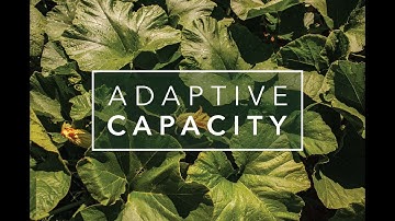 Adaptive Capacity #8: "Wild Harmony"
