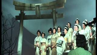 Cellia Costea,Madama  Butterfly -G, Puccini