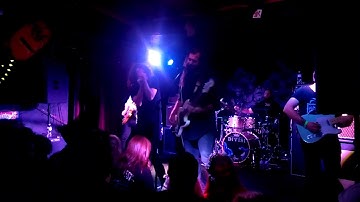 A Lot Like Birds No Attention for Solved Puzzles live