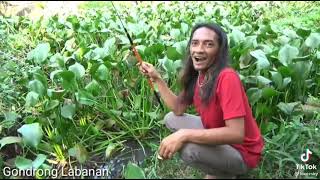 GONDRONG LABANAN !! KAGET SAAT UMPAN PANCING DI SAMBER IKAN GEDE VIRAL 2021