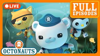 live octonauts full episodes ocean mysteries 24 7 livestream