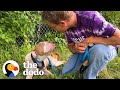 Woman Saves Pittie Abandoned On The Highway | The Dodo