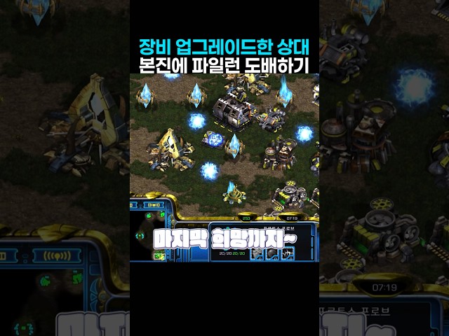 장비 업글 후 게임하는 상대 본진 파일런으로 도배하기