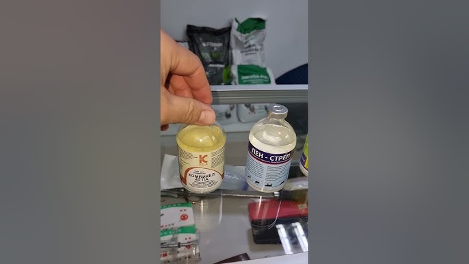 Жетілген мұғалім порно Тәтесі минет порно