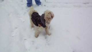 snow day 014.AVI