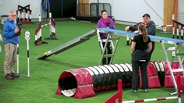 International Agility Training Week - Learning to trust the dog - preview