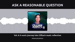 ASK A REASONABLE QUESTION | Cillian Murphy's Limited Edition Series 2 by prada backpack 3,017 views 2 years ago 2 minutes, 17 seconds