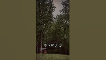 لن ينال الله لحومها ولا دماؤها بصوت القارئ ياسر الدوسري(سورةالحج)