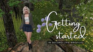 3. Getting Started in Second Life: Profiles & Picks & How This Helps You Find Your People