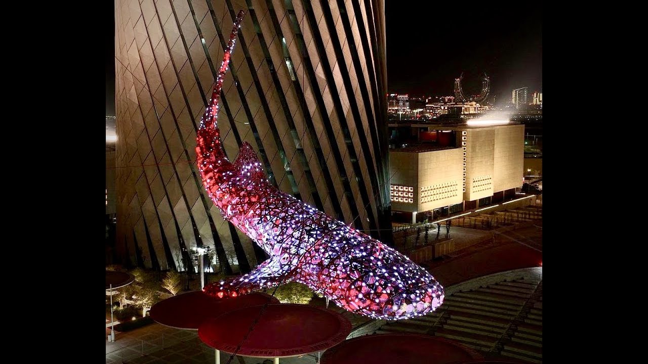 FIFA 2022 QATAR : AL NEHEM WHALE SHARK NEW ATTRACTION AT LUSAIL QATAR 