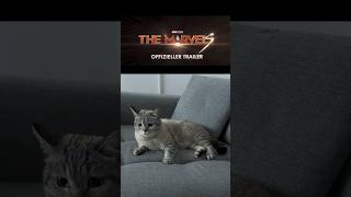 The Marvels - Das Kino Highlight im Herbst #marvel  #zooplus #catsofyoutube #katze