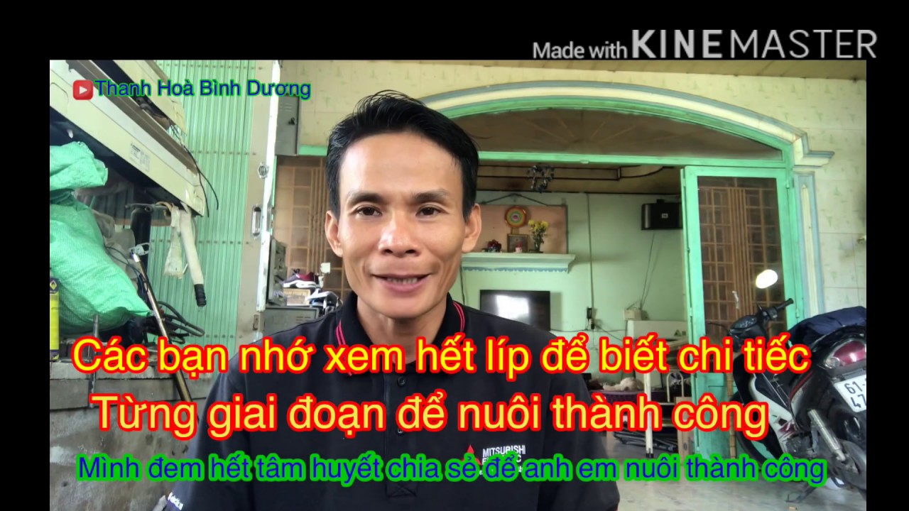 Chia sẻ Ba tuyệt chiêu cuối đưa em quốc bổi lên làm mồi chiến-Thanh Hoà Bình Dương