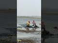 Unbelievable catch from the beel — pure village magic! 🐟🌿🔥
