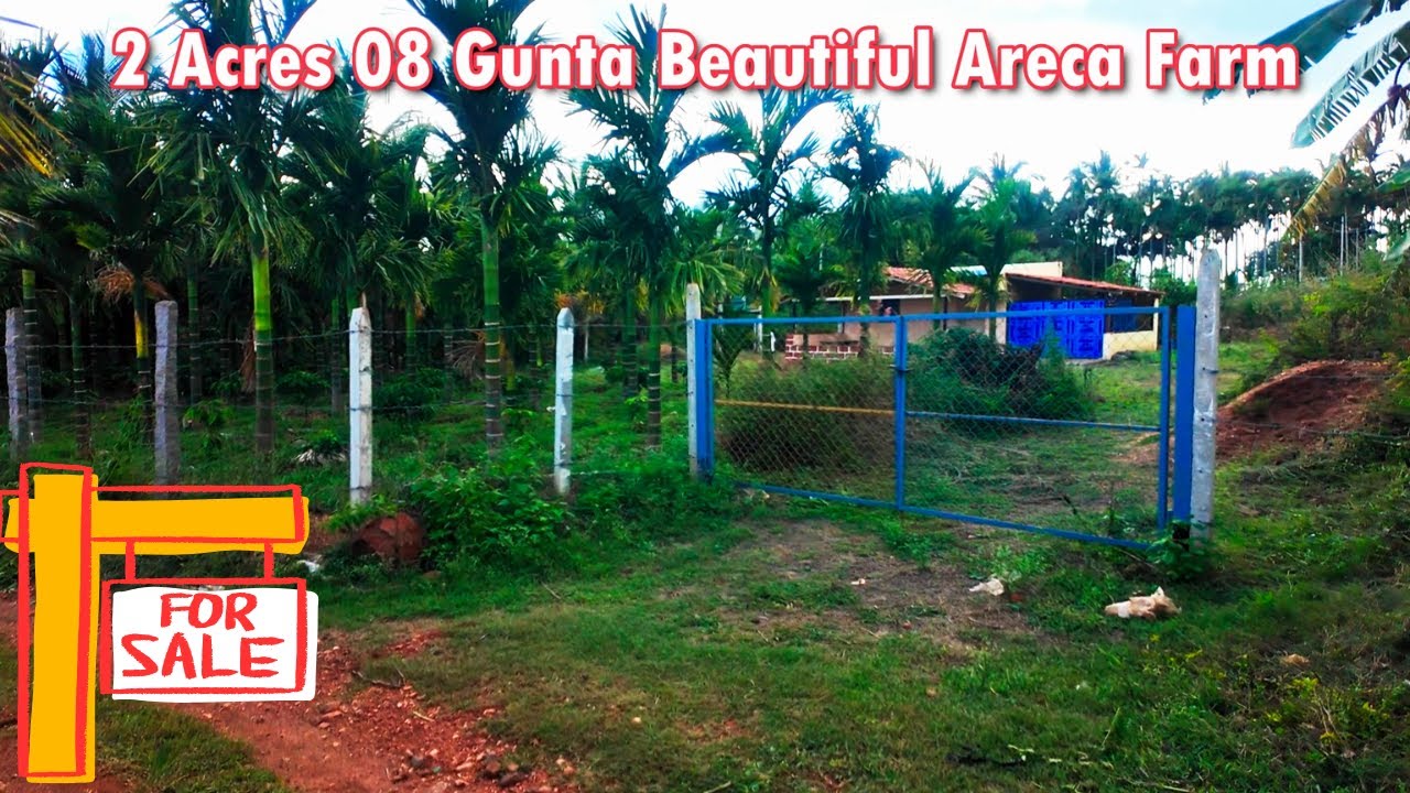 🔴SOLD | Adike Tota with Borewell & Farmhouse -Tumkur District | Investment ge Best Property|