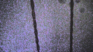 Winding a Cuckoo Clock pt. 2