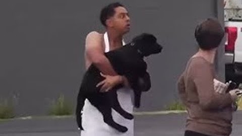 Nelk opened up a fake Dog & Cat meat FOOD TRUCK , and got POLICE CALLED